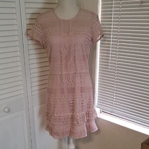 Parker Blush Lace Mini Dress